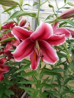 [5709 DJ OR-01 No02.JPG]